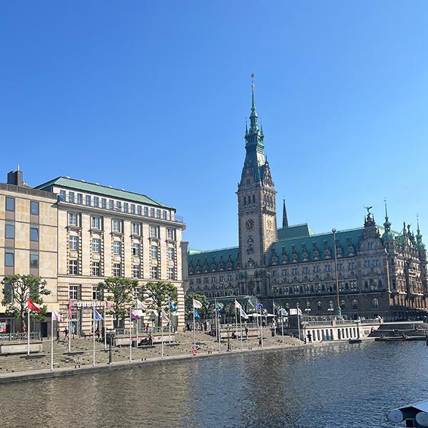 Fünf Jahre Hollstein & Hammerstein